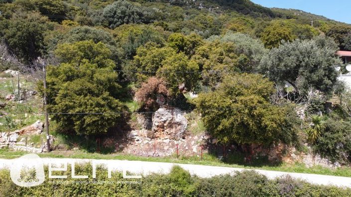 Image No.3-Terre à vendre à Céphalonie