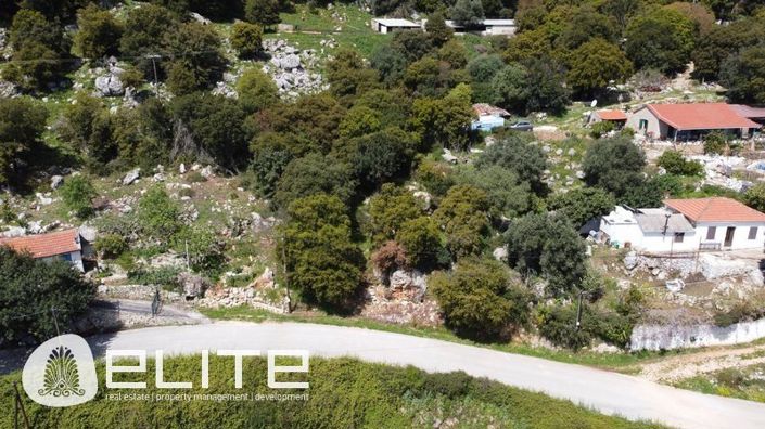 Image No.4-Terre à vendre à Céphalonie