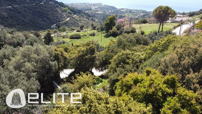 Image No.9-Terre à vendre à Céphalonie