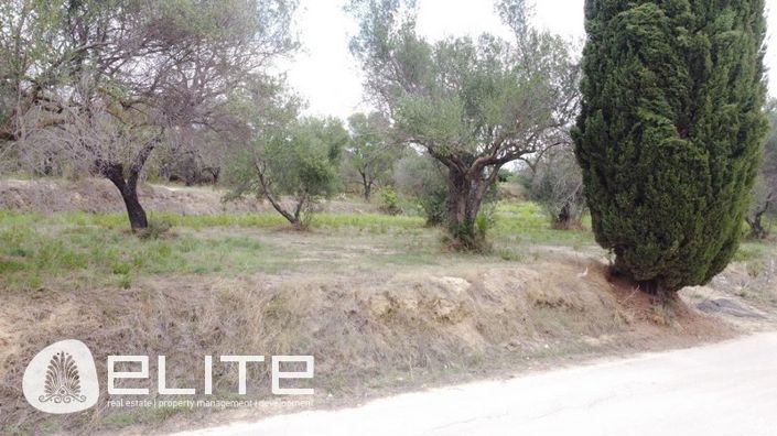 Image No.18-Terre à vendre à Sarlata