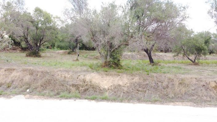 Image No.19-Terre à vendre à Sarlata