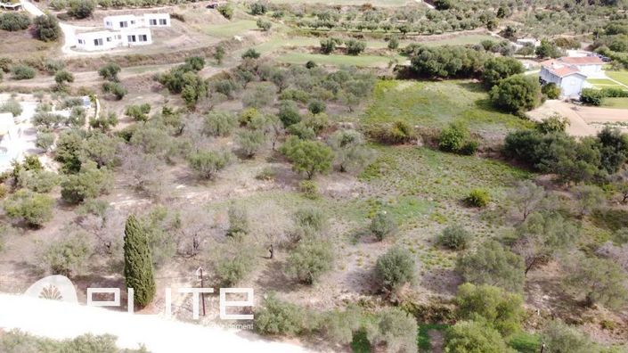 Image No.7-Terre à vendre à Sarlata