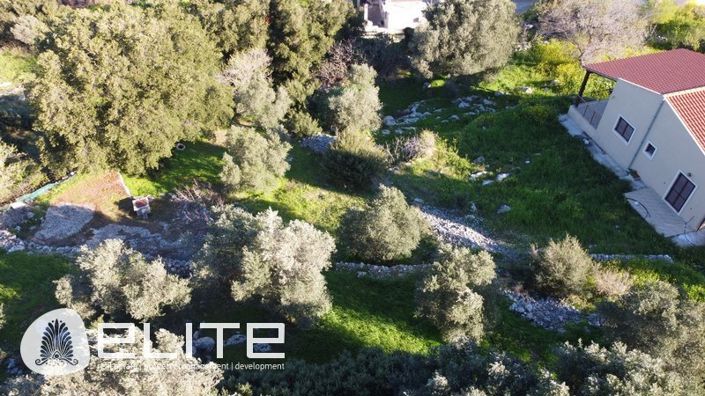 Image No.4-Terre à vendre à Céphalonie