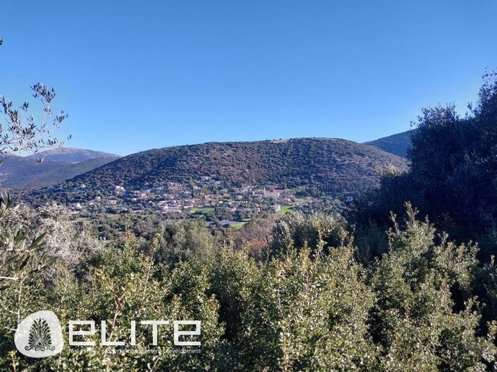 Image No.8-Terre à vendre à Céphalonie