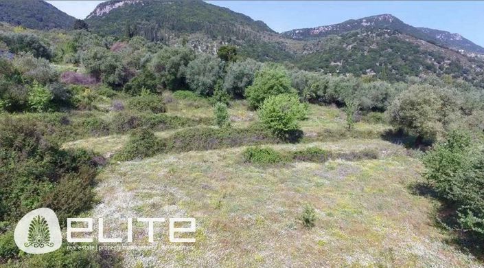 Image No.2-Terrain à vendre à Grèce