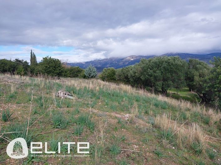 Image No.5-Terre à vendre à Menegata