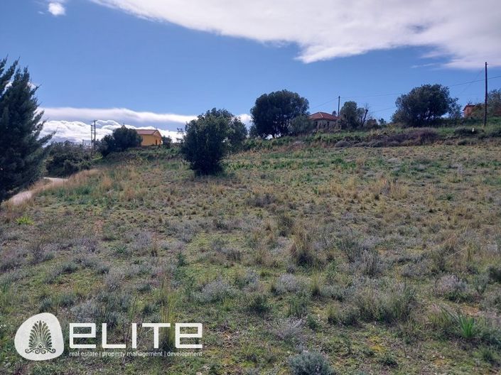 Image No.10-Terre à vendre à Menegata