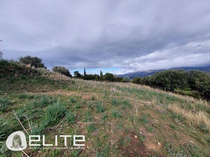 Image No.4-Terre à vendre à Menegata