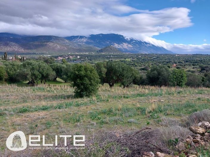 Image No.5-Terre à vendre à Menegata