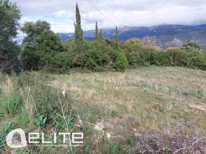 Image No.7-Terre à vendre à Menegata