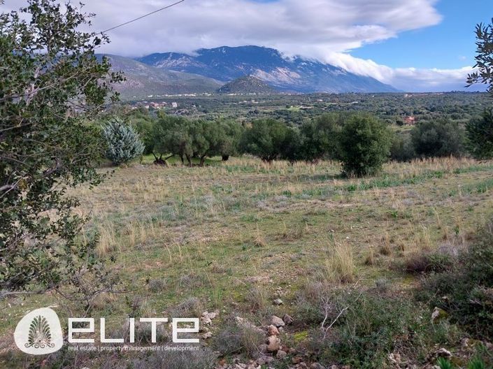 Image No.8-Terre à vendre à Menegata