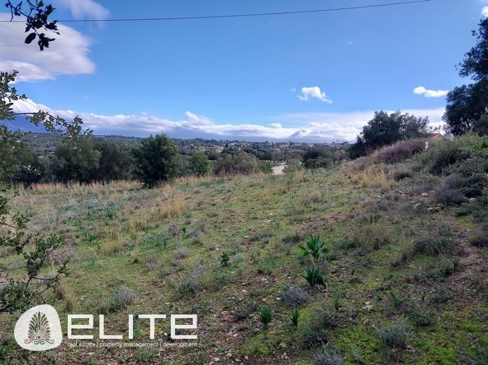 Image No.9-Terre à vendre à Menegata