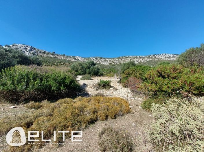 Image No.5-Terrain à vendre à Old Skala