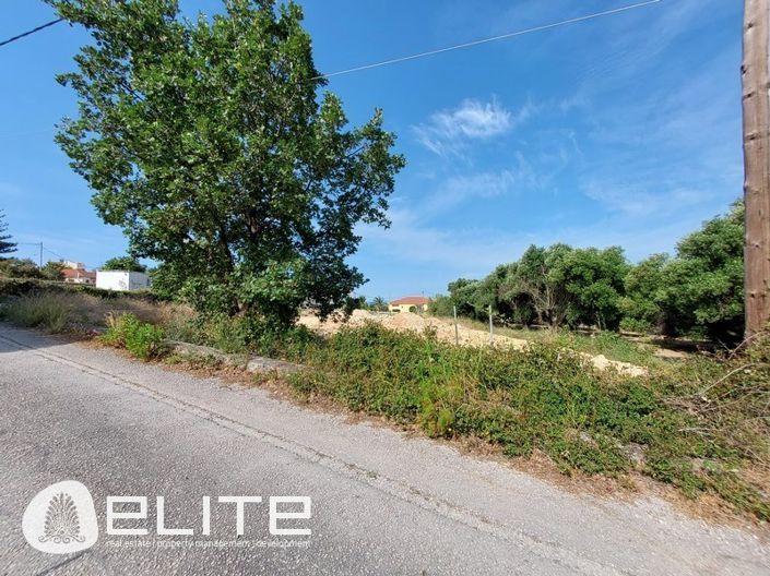 Image No.4-Terre à vendre à Céphalonie