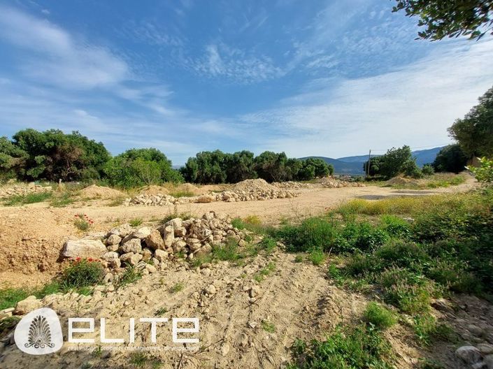 Image No.9-Terre à vendre à Céphalonie