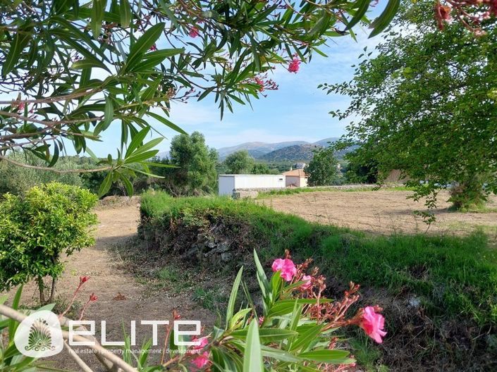 Image No.5-Terre à vendre à Céphalonie