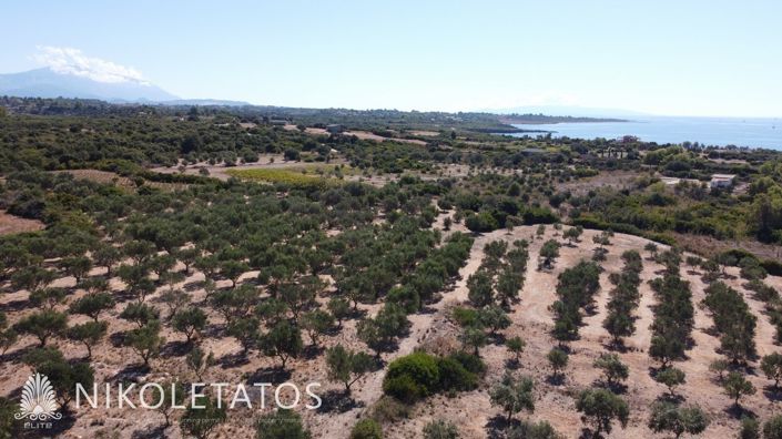 Image No.10-Plot for sale