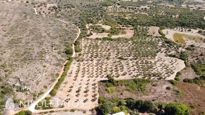 Image No.12-Plot for sale