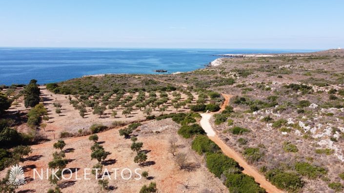 Image No.14-Plot for sale