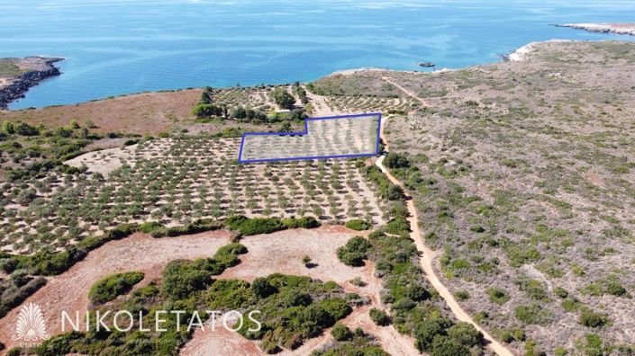 Image No.4-Plot for sale