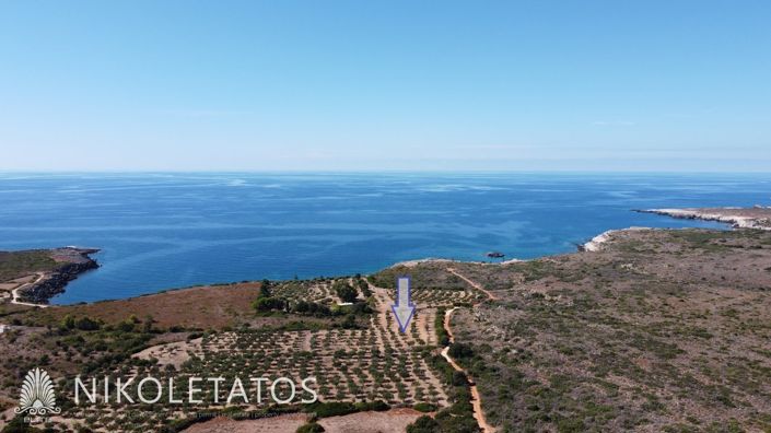 Image No.6-Plot for sale