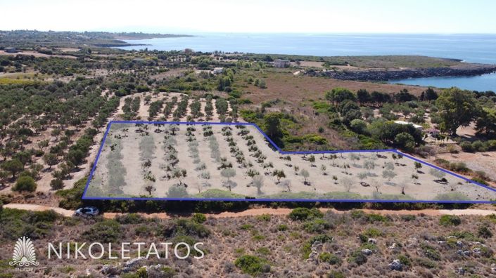 Image No.8-Plot for sale