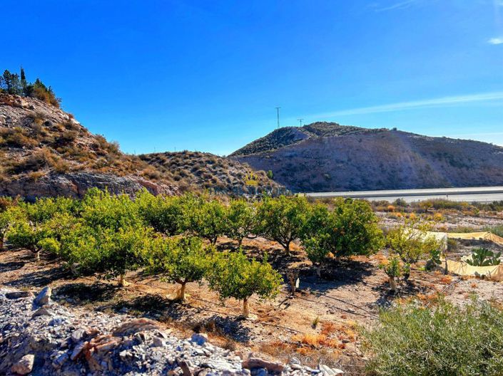 Image No.14-Propriété de 1 chambre à vendre à Águilas