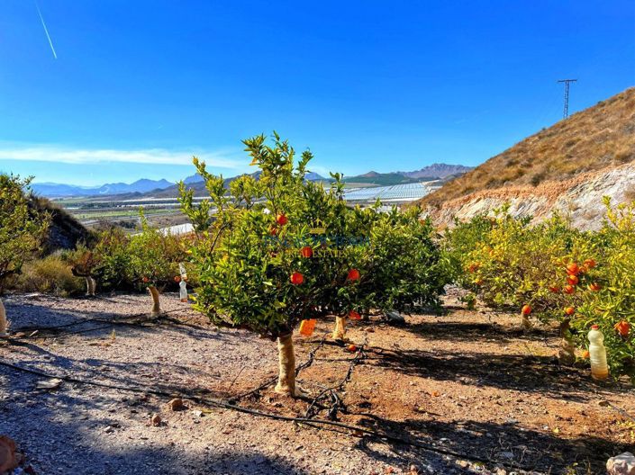 Image No.21-Propriété de 1 chambre à vendre à Águilas