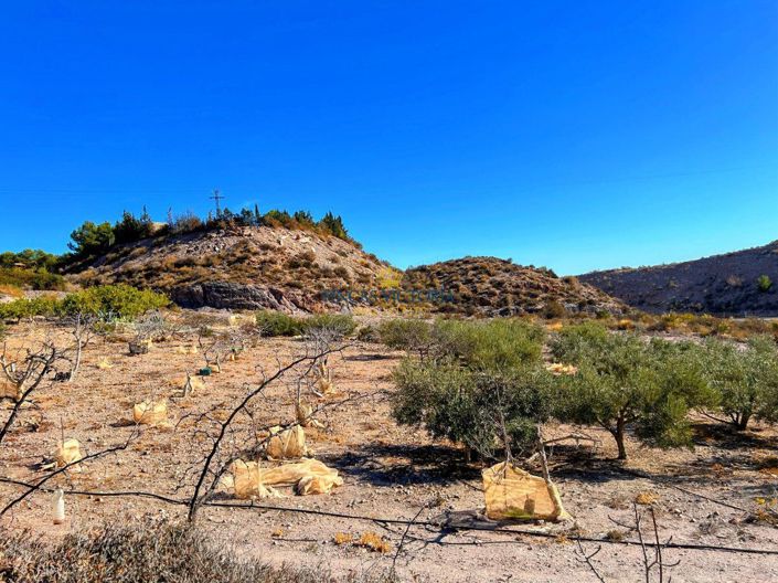 Image No.23-Propriété de 1 chambre à vendre à Águilas