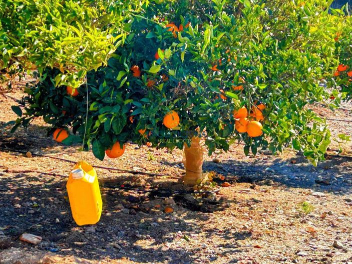 Image No.31-Propriété de 1 chambre à vendre à Águilas