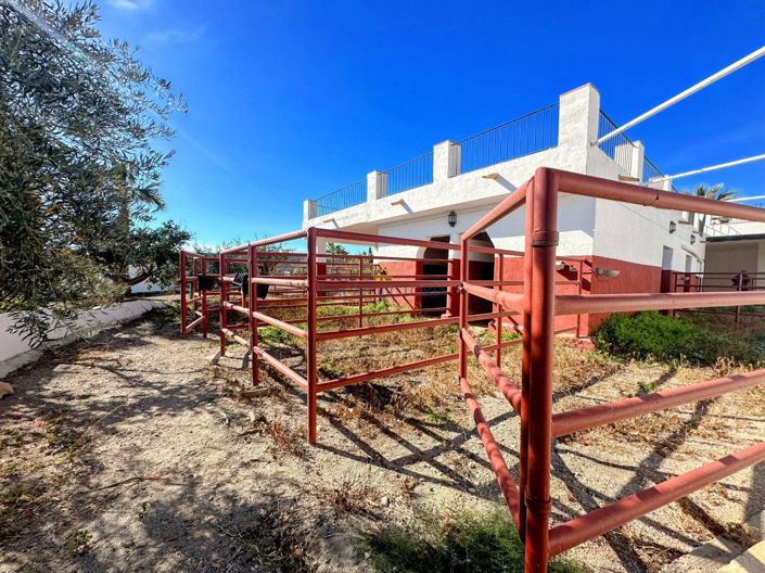 Image No.9-Propriété de 7 chambres à vendre à Águilas