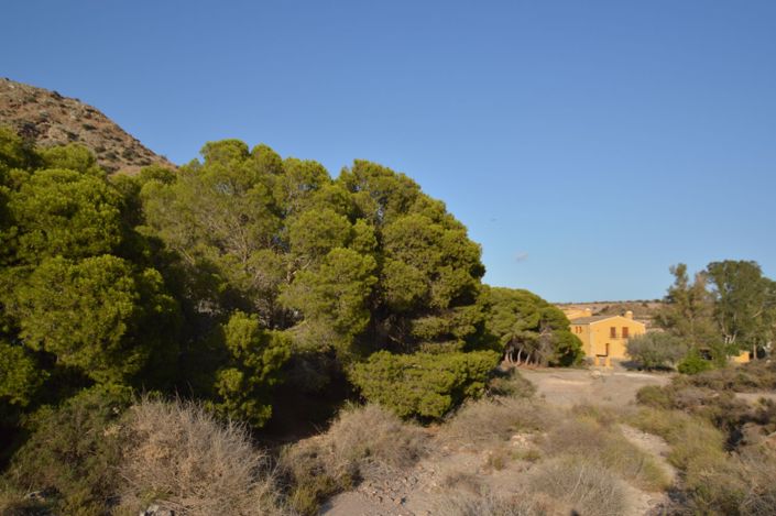 Image No.43-Propriété de 3 chambres à vendre à Águilas