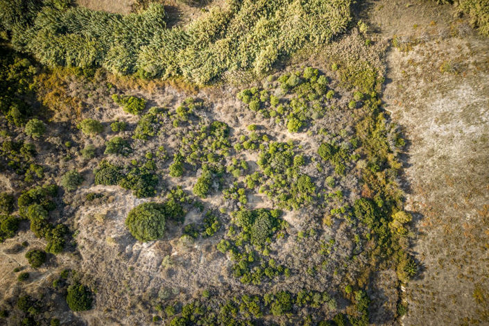 Image No.11-Finca de 2 chambres à vendre à Manilva