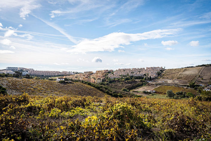 Image No.9-Finca de 2 chambres à vendre à Manilva