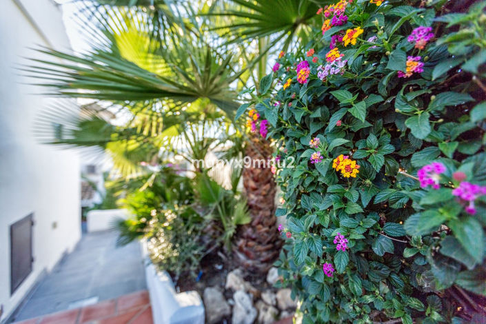 Image No.11-5 Bed Villa for sale