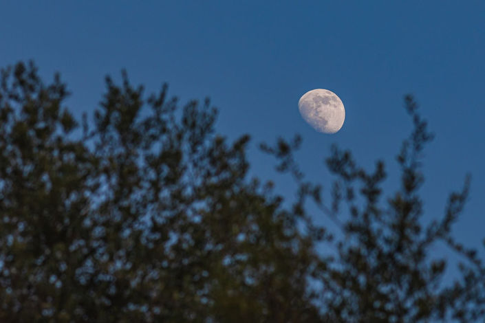 Image No.8-Finca de 4 chambres à vendre à Coin