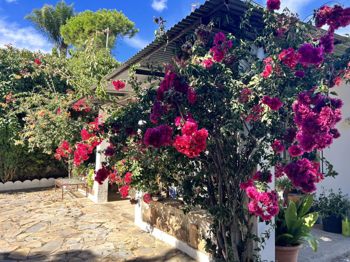 Image No.11-Finca de 3 chambres à vendre à Estepona