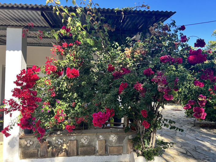 Image No.4-Finca de 3 chambres à vendre à Estepona