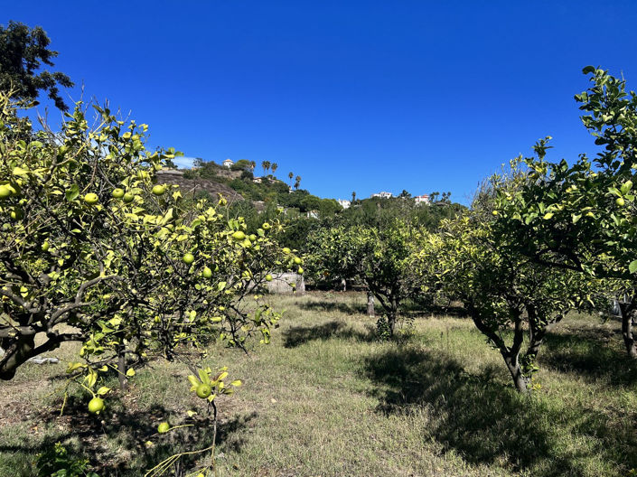 Image No.9-Finca de 3 chambres à vendre à Estepona