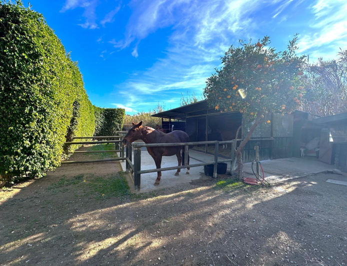 Image No.16-Finca de 3 chambres à vendre à Estepona