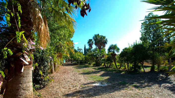 Image No.20-Finca de 3 chambres à vendre à Estepona