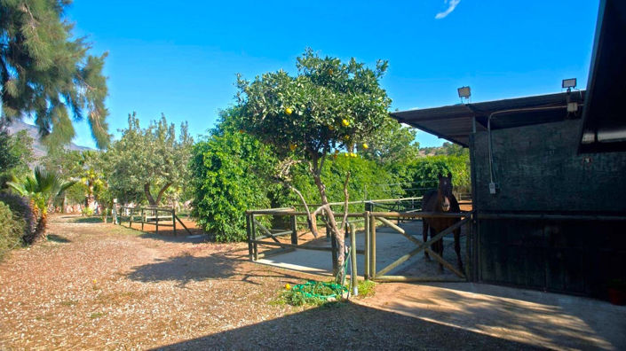 Image No.25-Finca de 3 chambres à vendre à Estepona