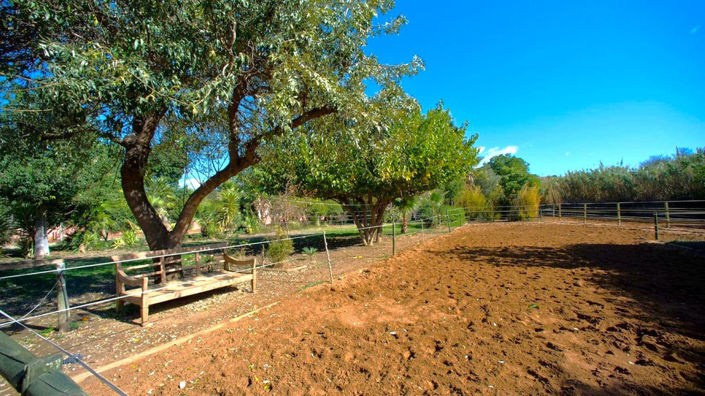 Image No.3-Finca de 3 chambres à vendre à Estepona
