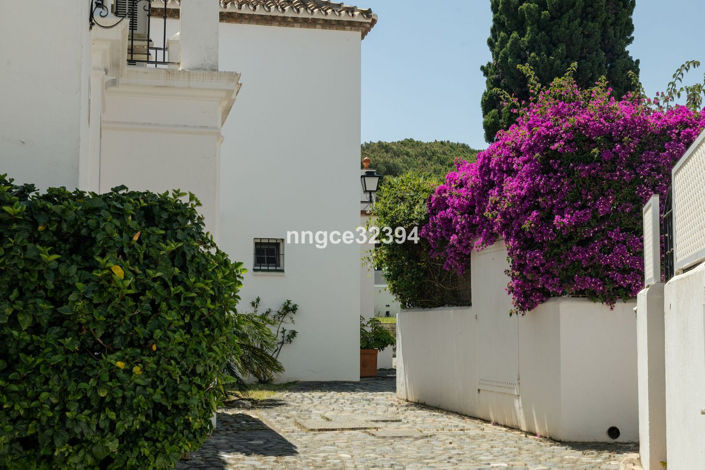 Image No.4-2 Bed Penthouse for sale