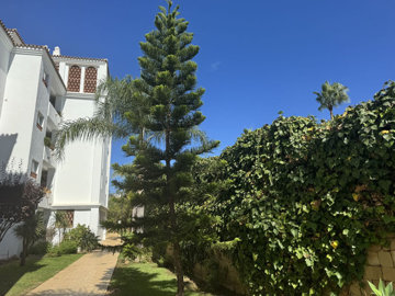 4o42sf9jl5515-11d12f2f454f2f5e9b981fdd8b901d5