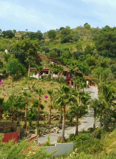 Image No.11-Finca de 5 chambres à vendre à Monda