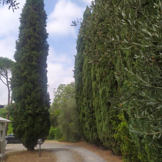 Image No.18-5 Bed Villa for sale