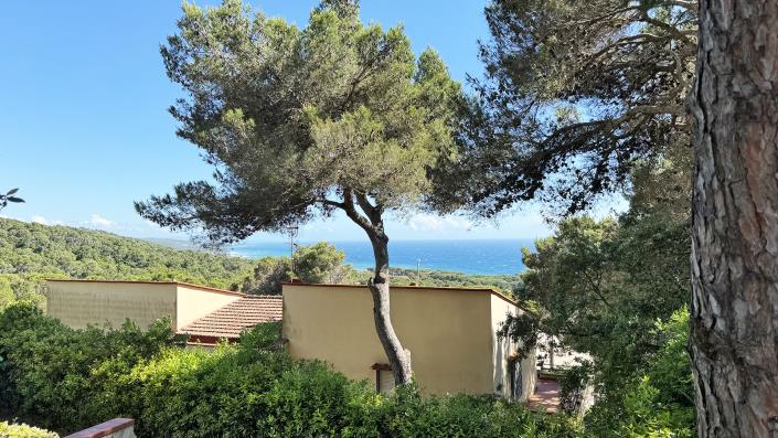 Image No.27-Appartement de 2 chambres à vendre à Quercianella