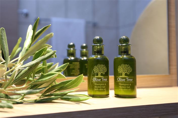 Image No.19-Villa de 4 chambres à vendre à Apolpaina