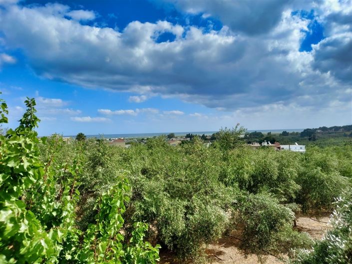 Image No.22-Villa de 2 chambres à vendre à Zante